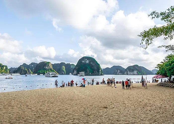 Arcady Boutique Cruise Hạ Long