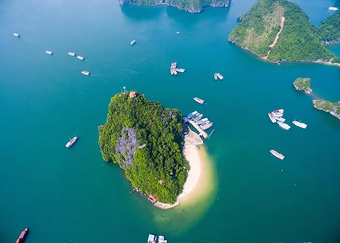Arcady Boutique Cruise